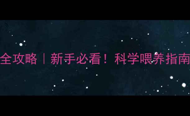 图片 🐾2个月小猫喂养全攻略｜新手必看！科学喂养指南+营养食谱大公开