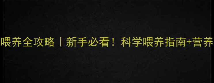 图片 🐾2个月小猫喂养全攻略｜新手必看！科学喂养指南+营养食谱大公开2