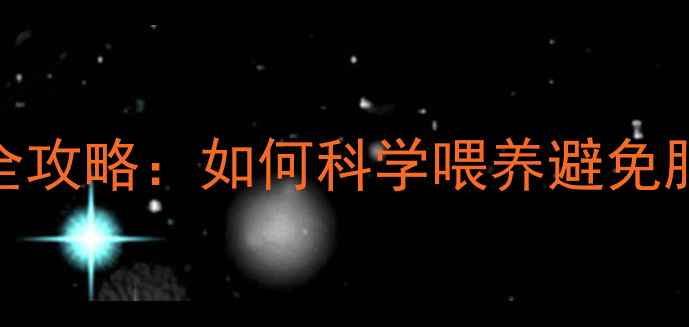 图片 🐾8个月比熊饮食全攻略：如何科学喂养避免肥胖挑食泪痕？🐶1