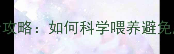 图片 🐾8个月比熊饮食全攻略：如何科学喂养避免肥胖挑食泪痕？🐶2