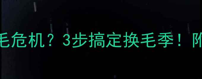 图片 🐾乐哈士奇掉毛危机？3步搞定换毛季！附护理全攻略🐾