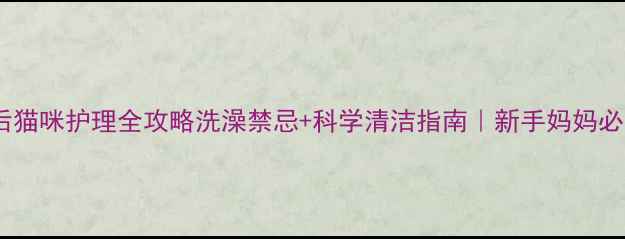 图片 🐾产后猫咪护理全攻略洗澡禁忌+科学清洁指南｜新手妈妈必看！1