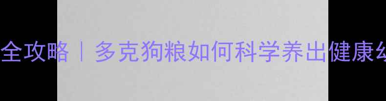 图片 🐾哈士奇4个月喂养全攻略｜多克狗粮如何科学养出健康幼犬（附成长记录）