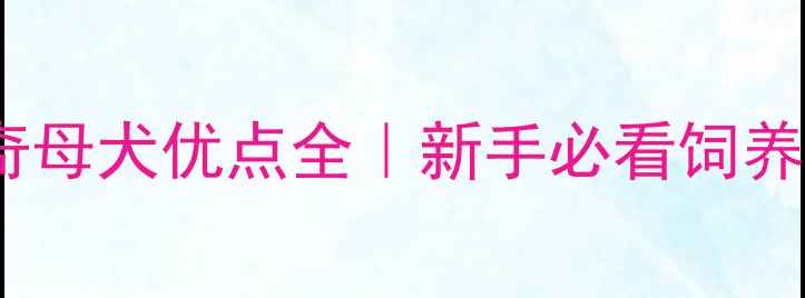 图片 🐾哈士奇母犬优点全｜新手必看饲养指南🐾1