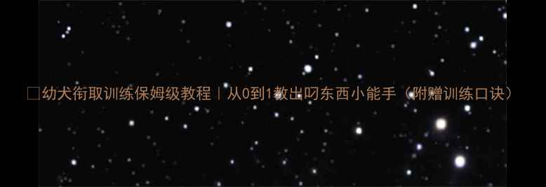 图片 🐾幼犬衔取训练保姆级教程｜从0到1教出叼东西小能手（附赠训练口诀）