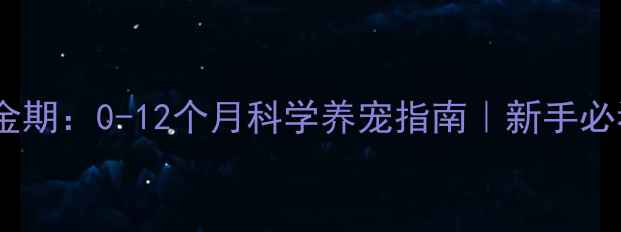 图片 🐾幼犬训练黄金期：0-12个月科学养宠指南｜新手必看训练全攻略1