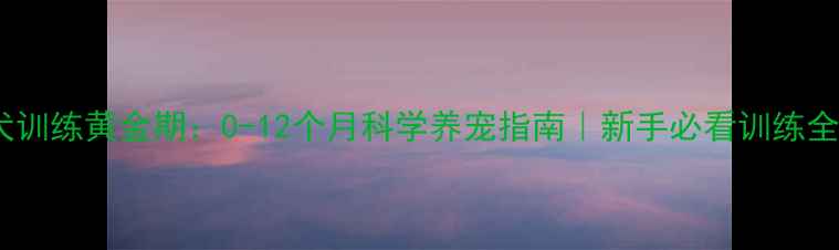 图片 🐾幼犬训练黄金期：0-12个月科学养宠指南｜新手必看训练全攻略2