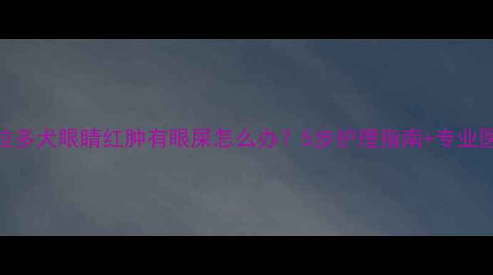 图片 🐾拉布拉多犬眼睛红肿有眼屎怎么办？5步护理指南+专业医生建议