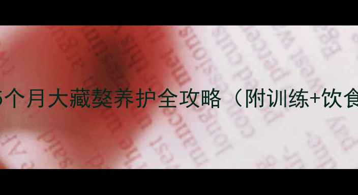 图片 🐾新手必看！5个月大藏獒养护全攻略（附训练+饮食+健康指南）2
