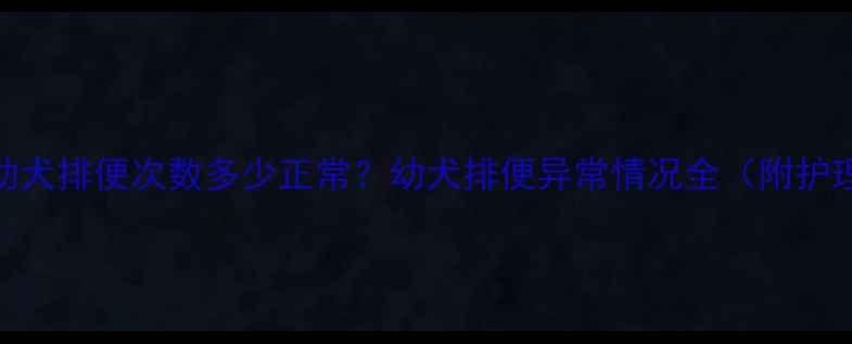 图片 🐾泰迪幼犬排便次数多少正常？幼犬排便异常情况全（附护理指南）