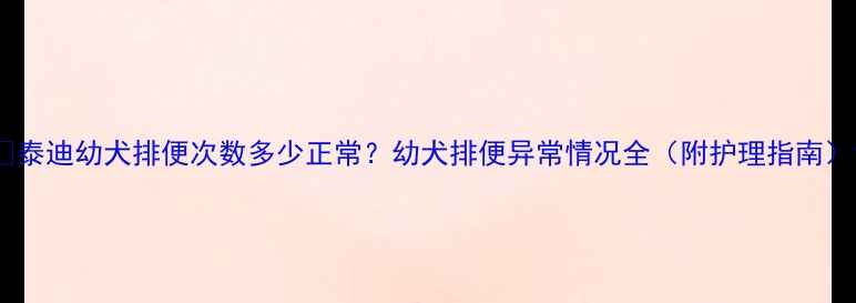 图片 🐾泰迪幼犬排便次数多少正常？幼犬排便异常情况全（附护理指南）1