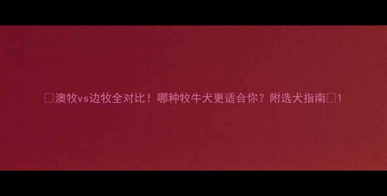 图片 🐾澳牧vs边牧全对比！哪种牧牛犬更适合你？附选犬指南🐾1