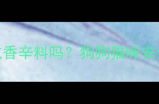 图片 🐾狂犬疫苗后能吃香辛料吗？狗狗猫咪安全饮食全指南🐶💊