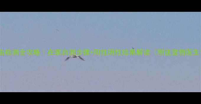 图片 🐾猫咪弓形虫检测全攻略｜在家自测步骤+阳性阴性结果解读（附送宠物医生专业建议）2