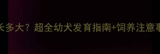图片 🐾藏獒2个月大能长多大？超全幼犬发育指南+饲养注意事项（附对比图）2