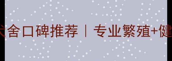 图片 🐾西安拉布拉多犬舍口碑推荐｜专业繁殖+健康保障全攻略🐾2