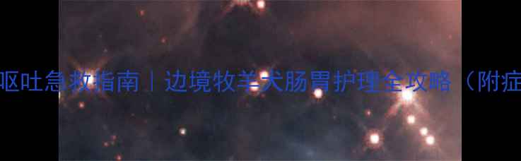图片 🐾边牧腹泻呕吐急救指南｜边境牧羊犬肠胃护理全攻略（附症状自检表）
