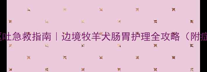 图片 🐾边牧腹泻呕吐急救指南｜边境牧羊犬肠胃护理全攻略（附症状自检表）1