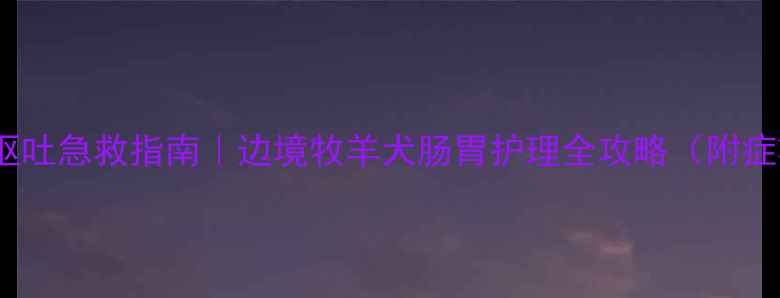 图片 🐾边牧腹泻呕吐急救指南｜边境牧羊犬肠胃护理全攻略（附症状自检表）2