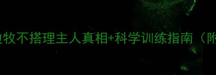 图片 🐾边牧行为全｜边牧不搭理主人真相+科学训练指南（附30天纠正计划）1