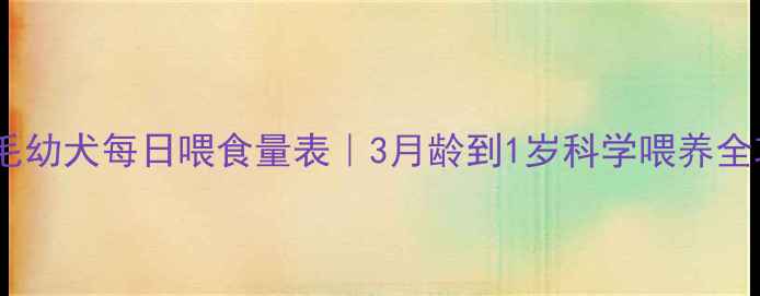 图片 🐾金毛幼犬每日喂食量表｜3月龄到1岁科学喂养全攻略2