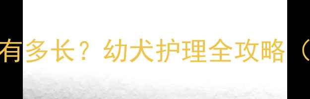 图片 🐾雪纳瑞两个月大有多长？幼犬护理全攻略（附成长对比图）🐾