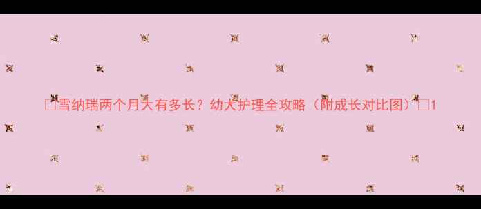 图片 🐾雪纳瑞两个月大有多长？幼犬护理全攻略（附成长对比图）🐾1