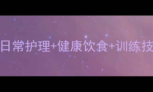 图片 🐾黑拉布拉多犬新手必看！全攻略：日常护理+健康饮食+训练技巧，养出健康活泼好宠物的5个关键1