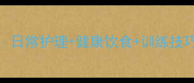 图片 🐾黑拉布拉多犬新手必看！全攻略：日常护理+健康饮食+训练技巧，养出健康活泼好宠物的5个关键2