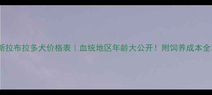 图片 📊最新拉布拉多犬价格表｜血统地区年龄大公开！附饲养成本全攻略1
