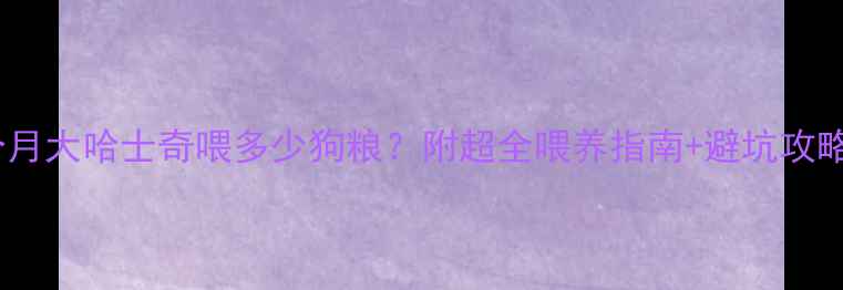 图片 🔥三个月大哈士奇喂多少狗粮？附超全喂养指南+避坑攻略！🐾2