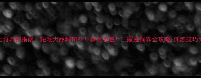 图片 🔥哈士奇养护指南｜短毛犬品种TOP1！新手必看！🐾家庭饲养全攻略+训练技巧大公开