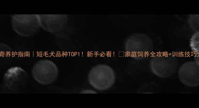 图片 🔥哈士奇养护指南｜短毛犬品种TOP1！新手必看！🐾家庭饲养全攻略+训练技巧大公开1