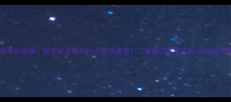 图片 🔥哈士奇养护指南｜短毛犬品种TOP1！新手必看！🐾家庭饲养全攻略+训练技巧大公开2
