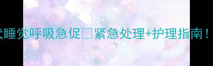 图片 🔥哈士奇幼犬睡觉呼吸急促🔥紧急处理+护理指南！家长必看！2