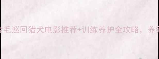 图片 🔥必看！金毛巡回猎犬电影推荐+训练养护全攻略，养狗人速存！