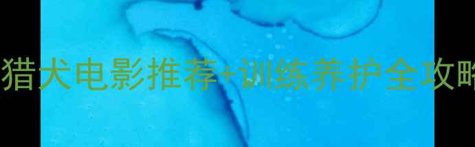 图片 🔥必看！金毛巡回猎犬电影推荐+训练养护全攻略，养狗人速存！1
