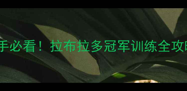 图片 🔥新手必看！拉布拉多冠军训练全攻略🐾1