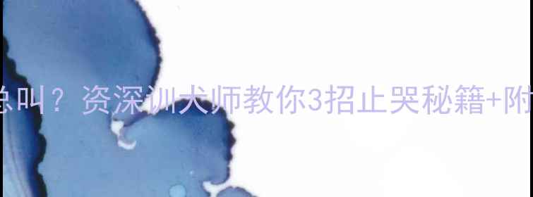 图片 🔥边牧三个月早上总叫？资深训犬师教你3招止哭秘籍+附90天社会化训练表1