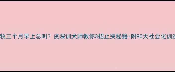 图片 🔥边牧三个月早上总叫？资深训犬师教你3招止哭秘籍+附90天社会化训练表2