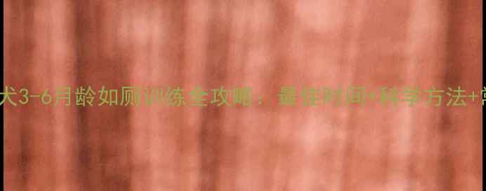 图片 🔥金毛幼犬3-6月龄如厕训练全攻略：最佳时间+科学方法+常见错误2