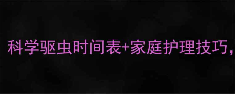 图片 🔥金毛驱虫全攻略｜科学驱虫时间表+家庭护理技巧，守护毛孩子健康！