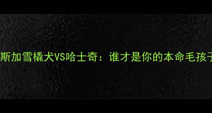 图片 🔥阿拉斯加雪橇犬VS哈士奇：谁才是你的本命毛孩子？🐾1