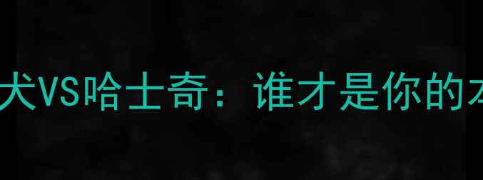 图片 🔥阿拉斯加雪橇犬VS哈士奇：谁才是你的本命毛孩子？🐾2