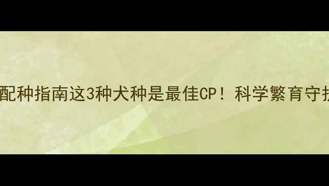 图片 🔥黄金边牧配种指南这3种犬种是最佳CP！科学繁育守护健康基因1
