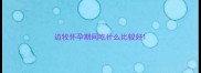 边牧怀孕期间吃什么比较好