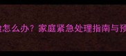 狗狗挠破脸怎么办家庭紧急处理指南与预防措施全