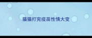 猫猫打完疫苗性情大变