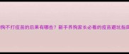 狗狗不打疫苗的后果有哪些新手养狗家长必看的疫苗避坑指南