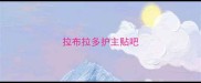 拉布拉多护主贴吧